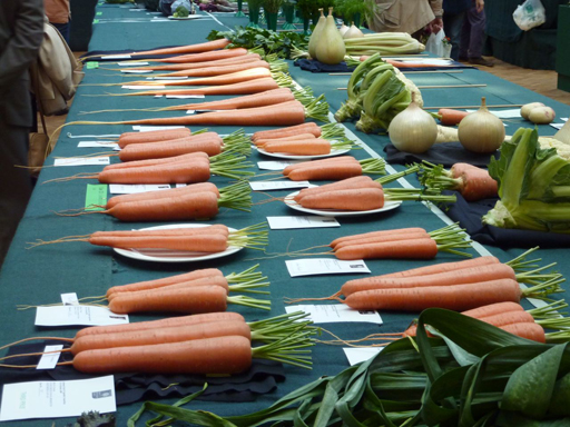 Carrots’