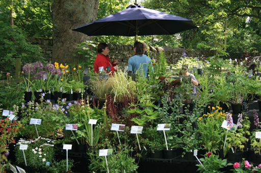 Herbaceous Display’ Skipton Castle’