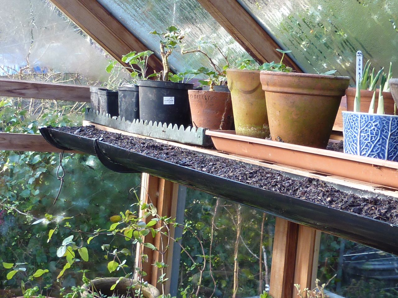 gutter used in greenhouse for planting peas
