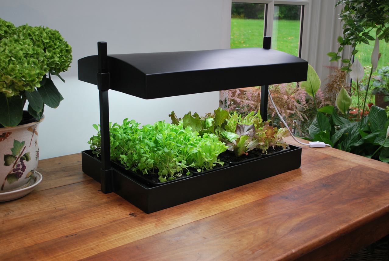 grow-lights grow-lights