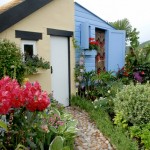 devon-caribbean-garden-landscape