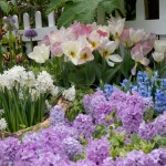greetings-card-flowers-marquee-landscape