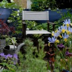 iris-and-chair-display-marquee-landscape