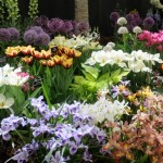 spring-flower-group-landscape