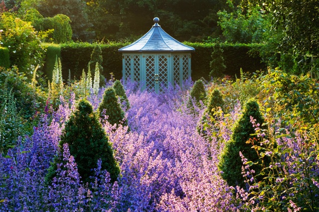 garden-photography garden-photography
