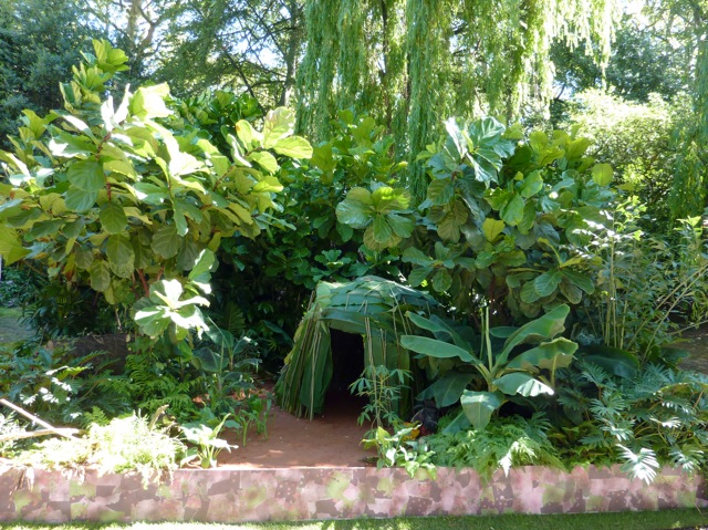 rainforest-garden