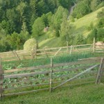 hay-rick Vegetable patch and a new hay rick