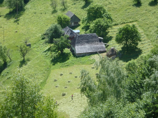 Haymaking in the valley below the guesthouse