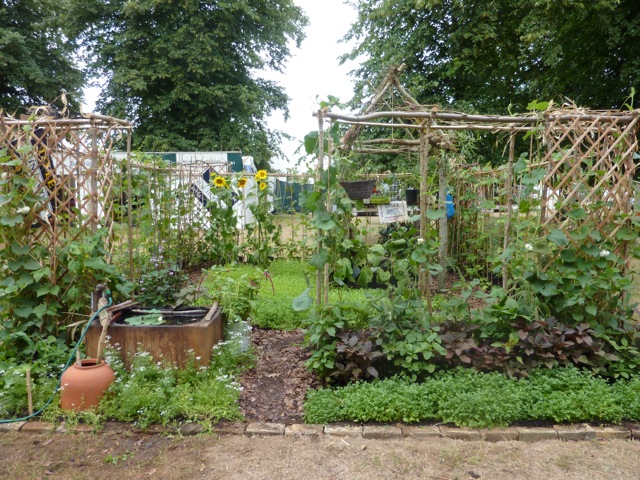 Bangladeshi Allotment