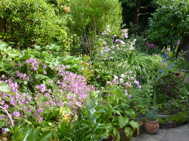 garden-to-visit