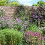 purple-flowers The purple border in the Courtyard Garden