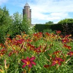 hemerocallis The Tower at Sissinghurst viewed across a sea of hemerocallis