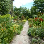 cottage-garden The hot colours of the Cottage Garden