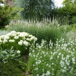 white-garden Hydrangea 'Anabelle', physostegia and veronicastrum in the White Garden