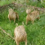 willow-sculpture