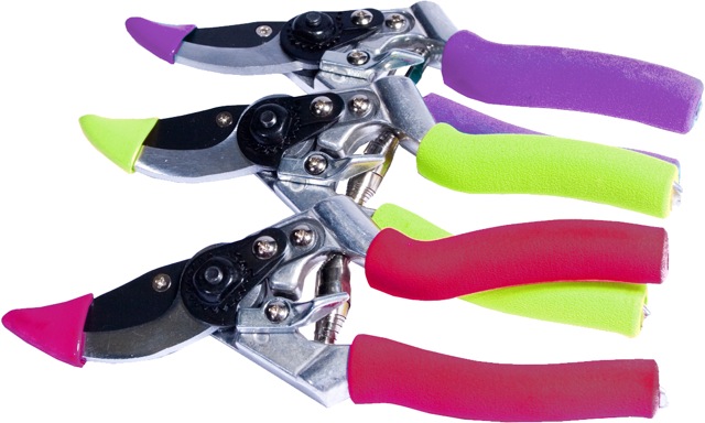 autumnsecateurs autumnsecateurs