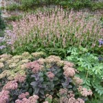 A subtle and textured planting in the border at Parham