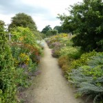 The long borders at Parham