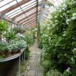 The glasshouse at Parham