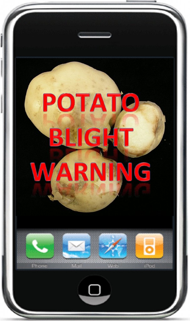 potato-blight
