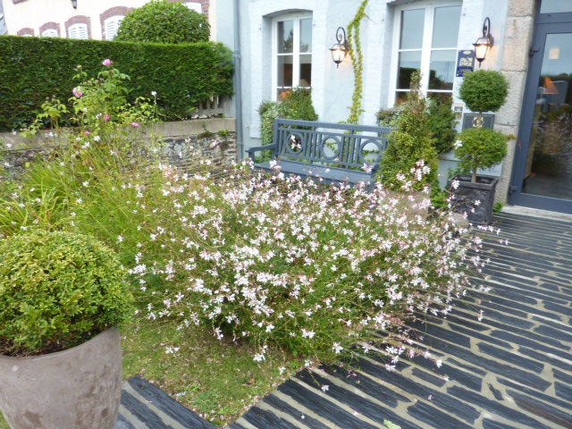 Guillaume Pellerin planted the hotel garden
