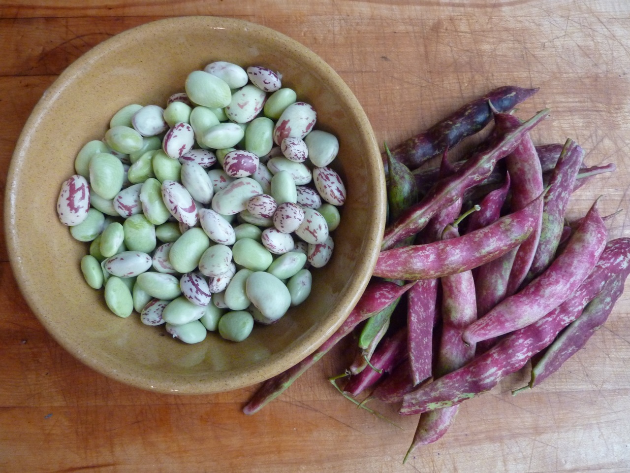 October - Freshly podded borlotti beans