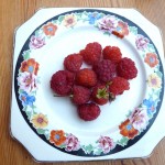 fresh-raspberries Wandering round the garden in the snow looking for something to photograph sometimes has unexpected rewards. Freshly picked raspberries on November 29
