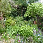 border May - The front border has grown rapidly in the past 2 week