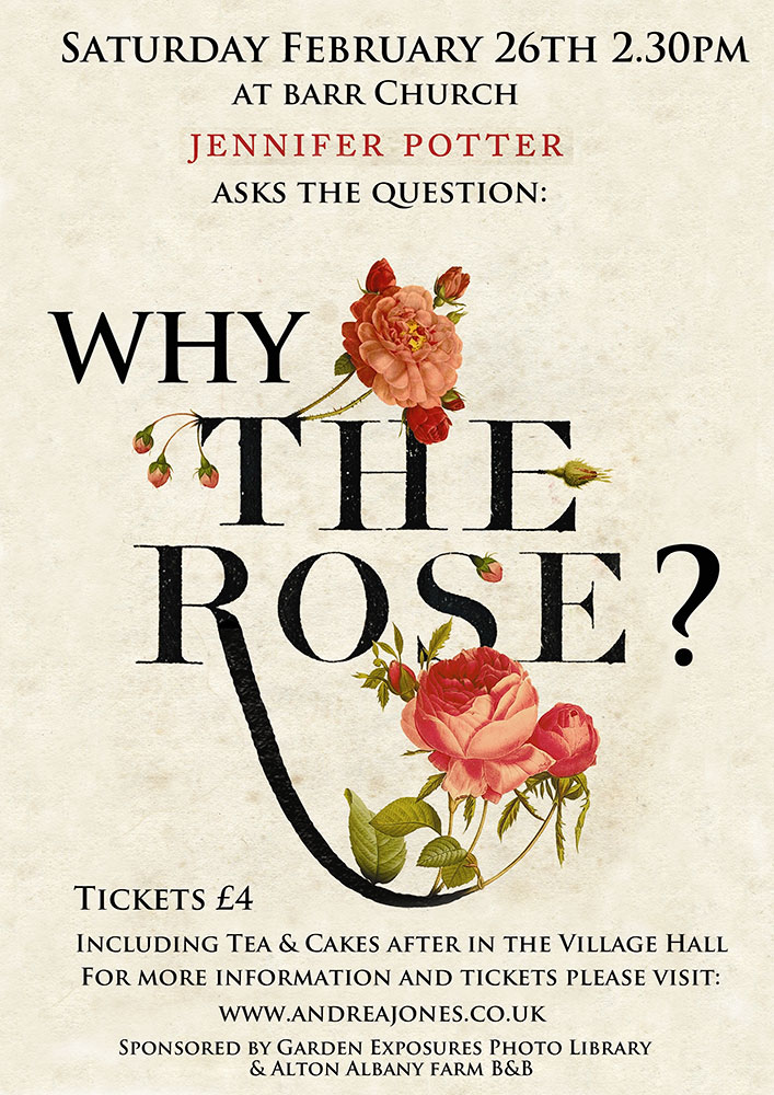 why-the-rose