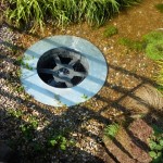 Down the Plughole in the WWF garden
