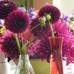 flower posy