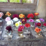 great way for labelling flowers
