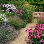 gravel path lined with perennials in cottage garden