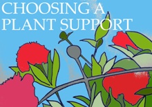 plant-supports