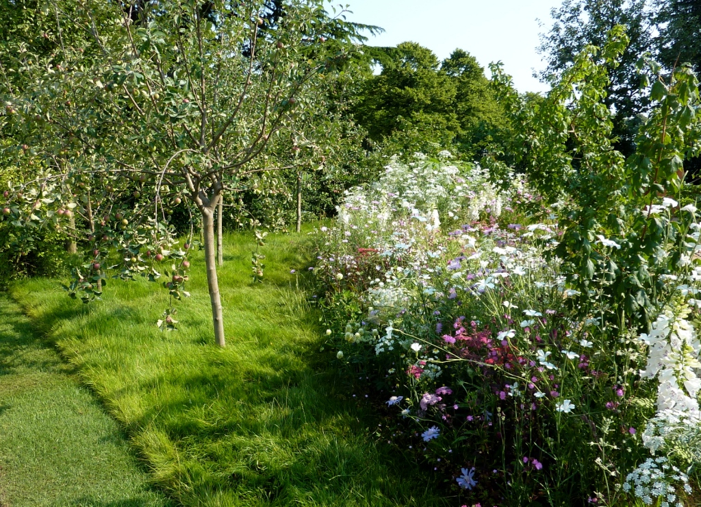 young fruit trees in cottage garden