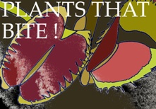 plant-that-bite