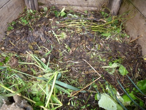 leafmould on compost heap