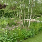 a well maintained garden with a neat lawn