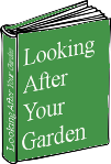 garden maintenance