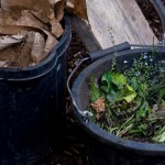 compost mix