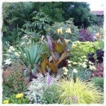 great dixter planting