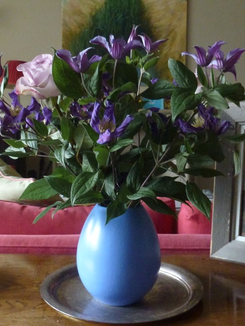 Clematis durandii in blue vase