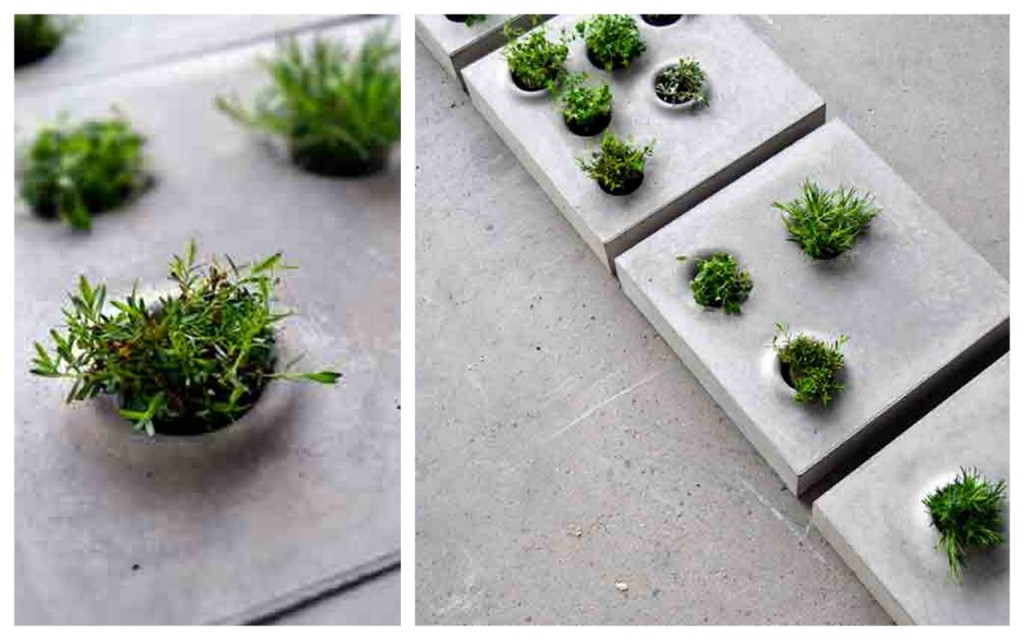 vibrant green plants highlighted against grey concrete
