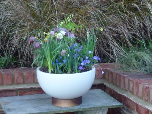 modernica bowl planted up with spring flowers