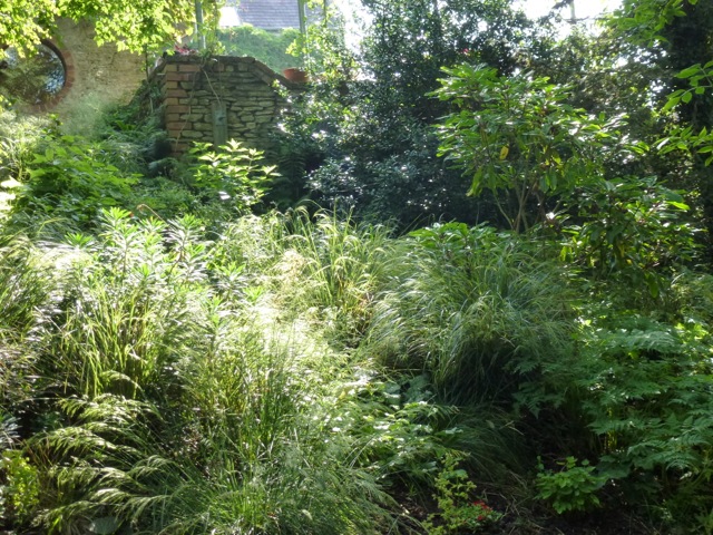 shady areas of the garden planted up with grasses