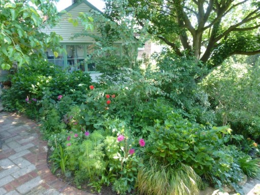 lush green garden border in August