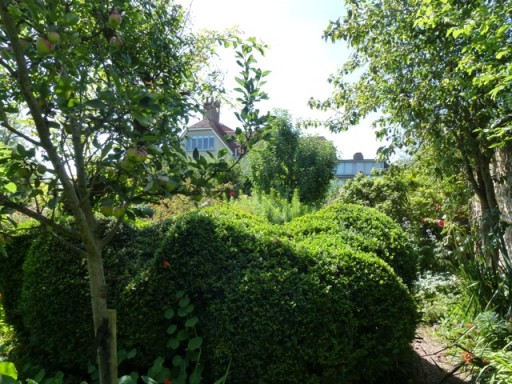 hedge trimmed in organic shapes