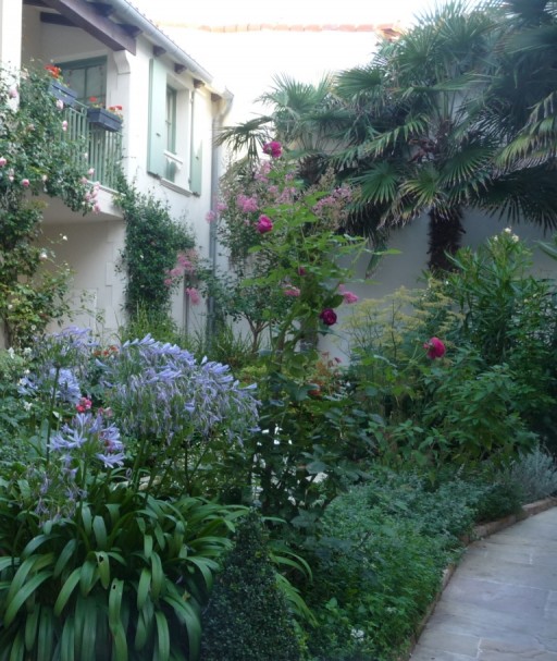 palms grow in this small courtyard garden