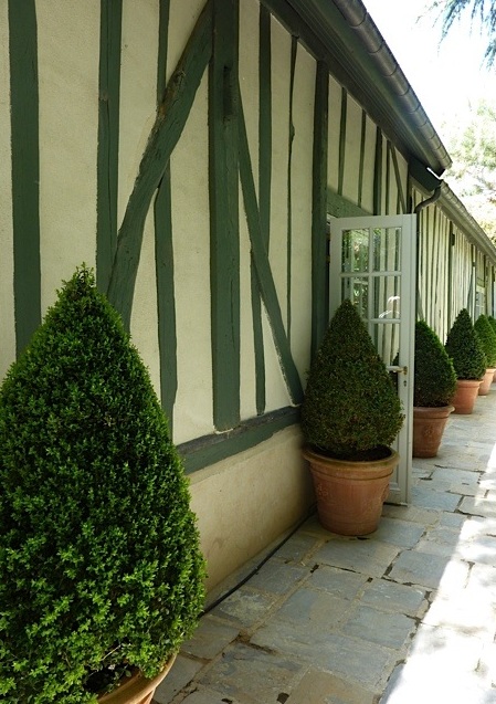 consistent planting of buxus in courtyard garden