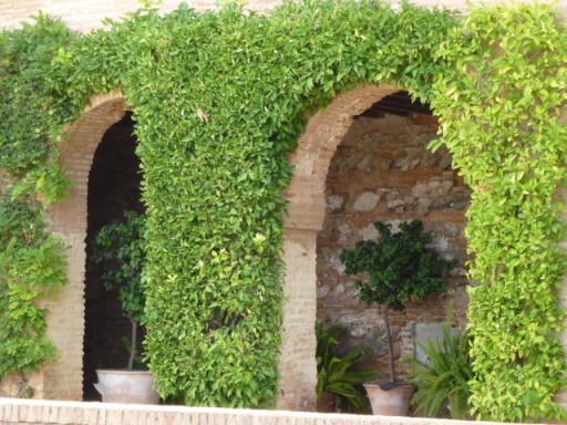 garden arches frame potted plants